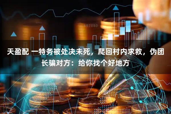 天盈配 一特务被处决未死，爬回村内求救，伪团长骗对方：给你找个好地方