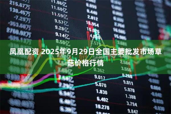 凤凰配资 2025年9月29日全国主要批发市场草菇价格行情