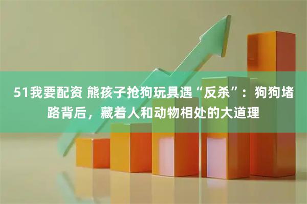 51我要配资 熊孩子抢狗玩具遇“反杀”：狗狗堵路背后，藏着人和动物相处的大道理