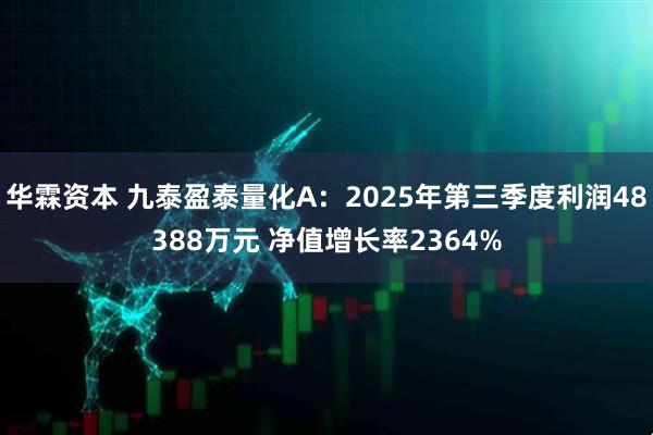 华霖资本 九泰盈泰量化A:2025年第三季度利润48388万元 净值增长率2364%