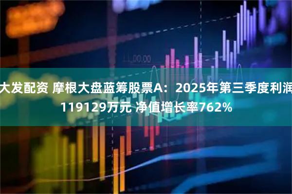 大发配资 摩根大盘蓝筹股票A:2025年第三季度利润119129万元 净值增长率762%